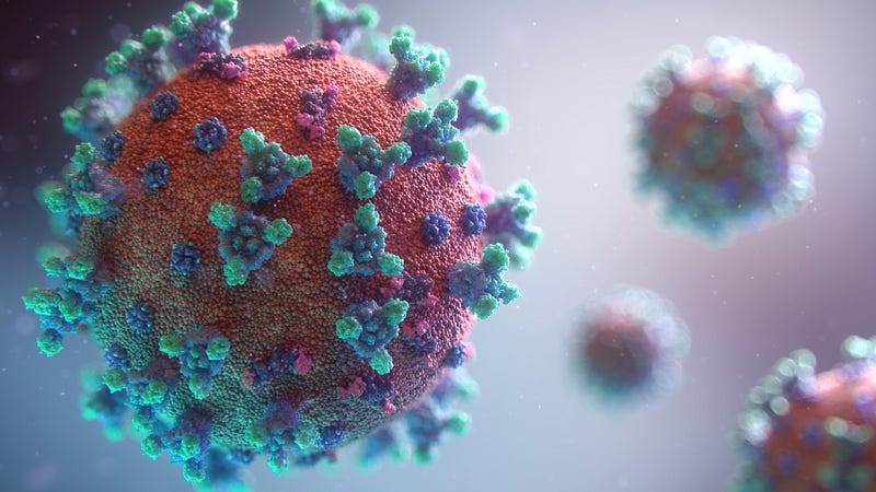 Immune response to mucosal vaccines