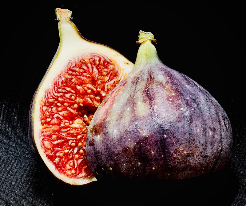 Figs and their unique mutualistic relationship with wasps