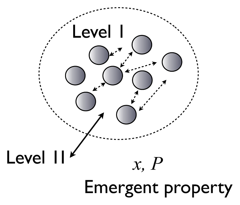 Neural networks and cognitive maps