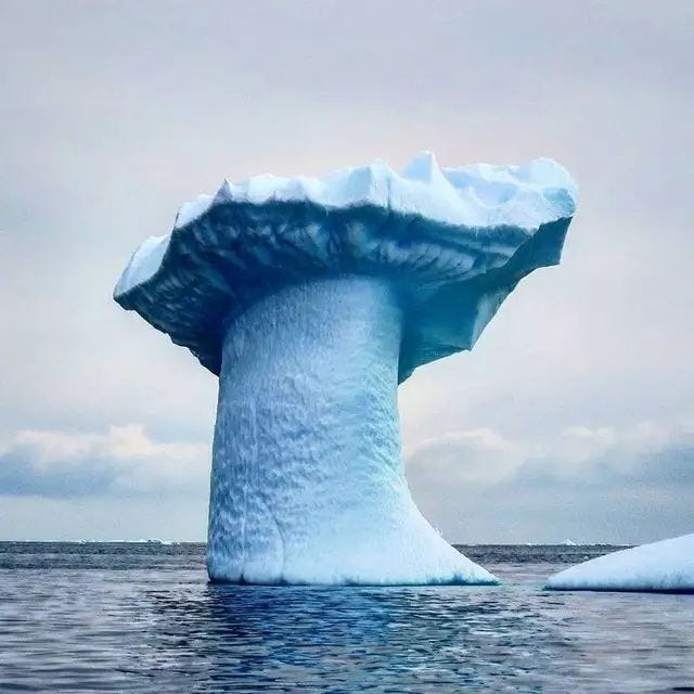 Unique mushroom-shaped icebergs in a body of water