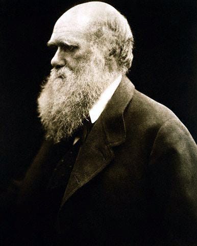 Darwin's contributions to evolutionary theory