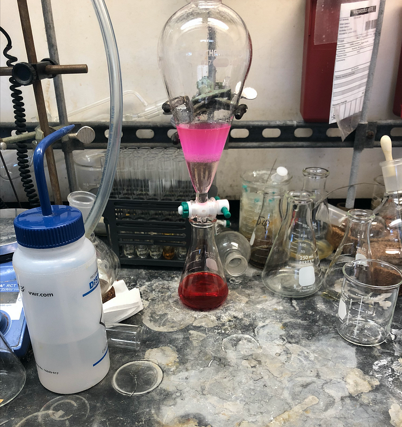 Resorufin dye in Erlenmeyer flask