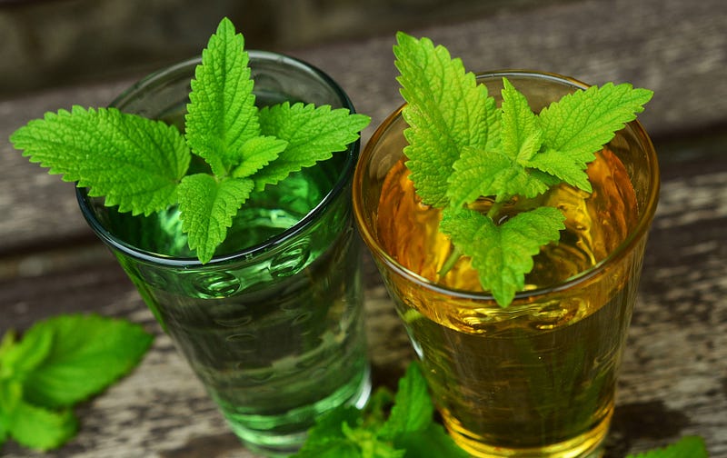 Lemon balm leaves