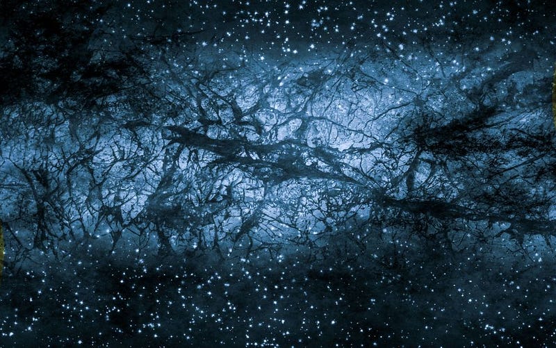 Network patterns of dark matter throughout the cosmos