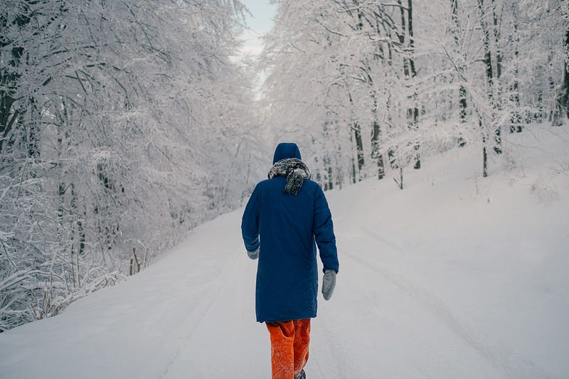 A serene winter landscape inviting you to walk