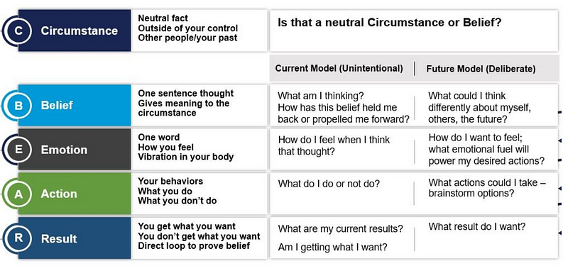 The BEAR Model of beliefs and reactions