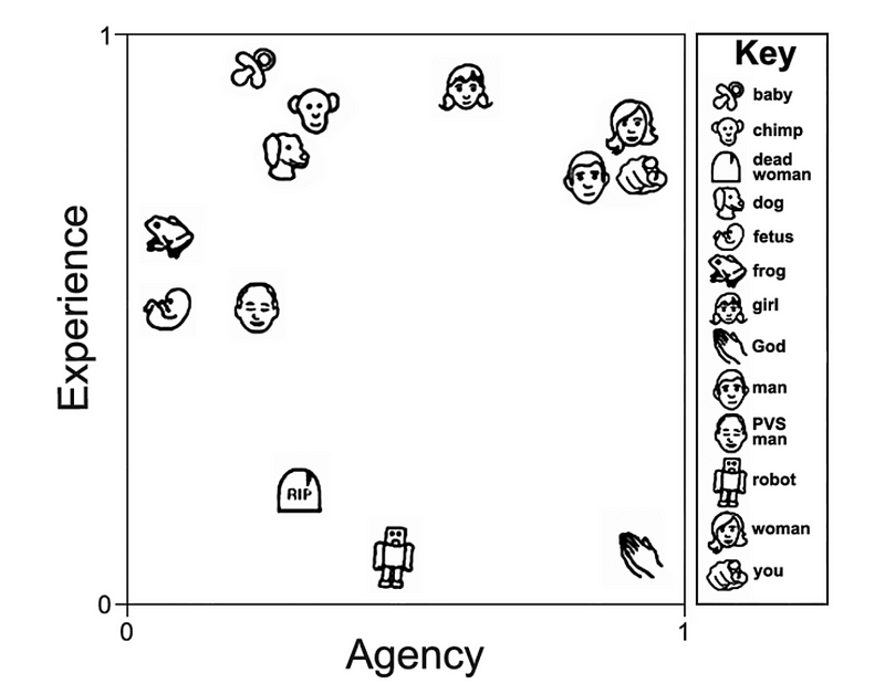 Mind perception data visualization