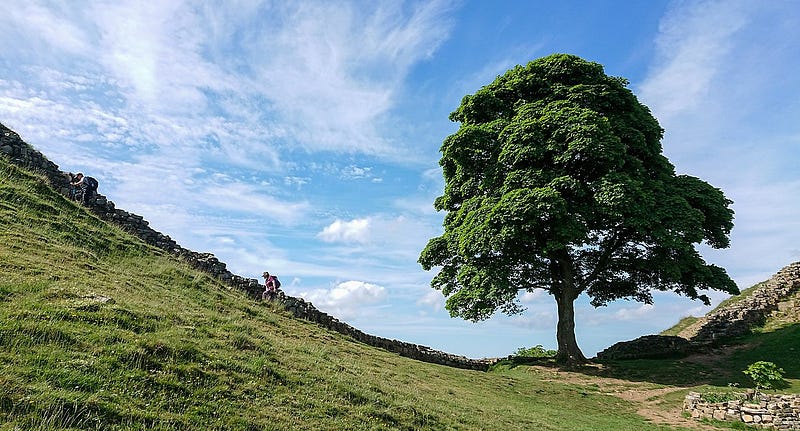 Design blueprint of Hadrian's Wall