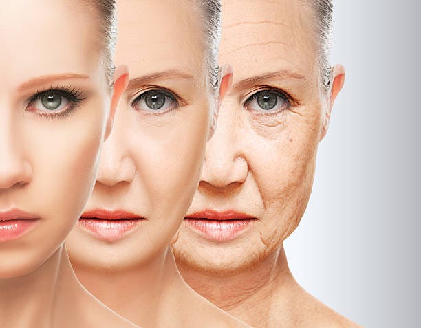 Understanding the impact of aging on health