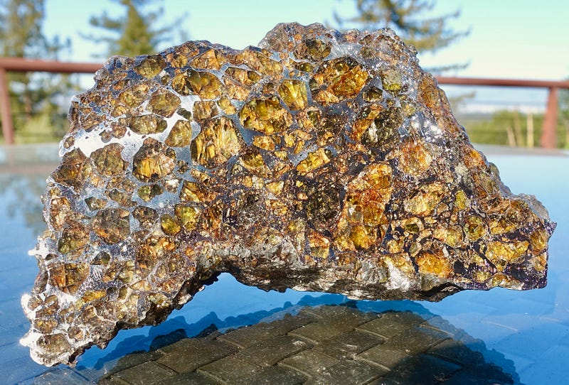 Pallasite meteorite slice showcasing stone and metal.