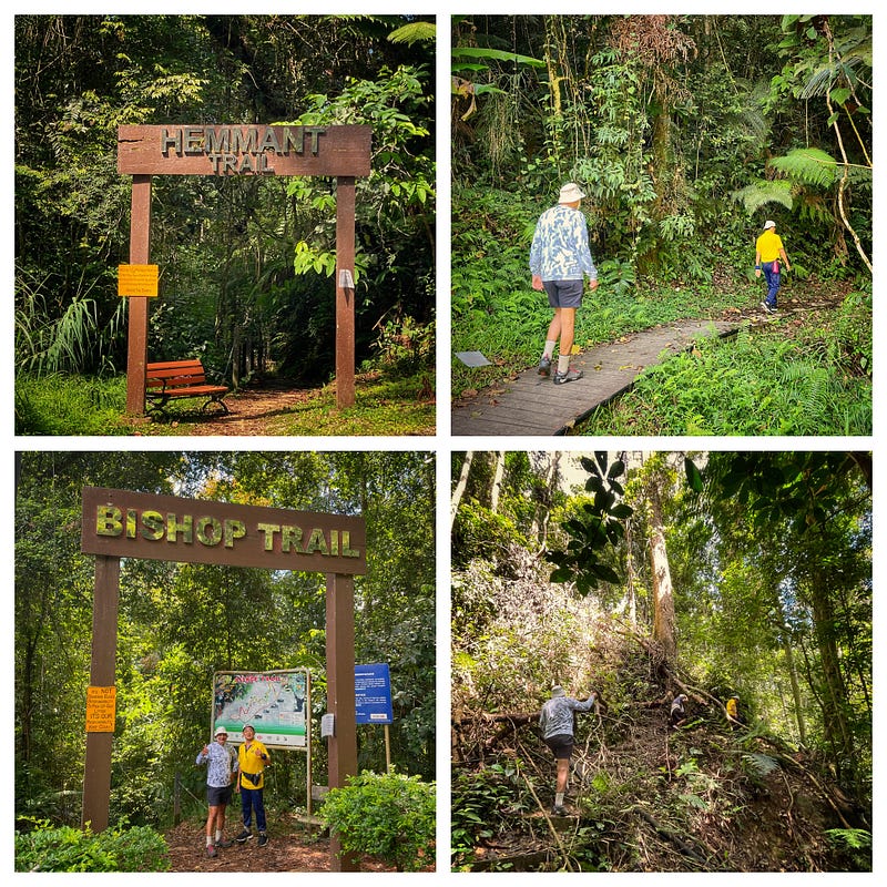 Friends hiking together on the trail