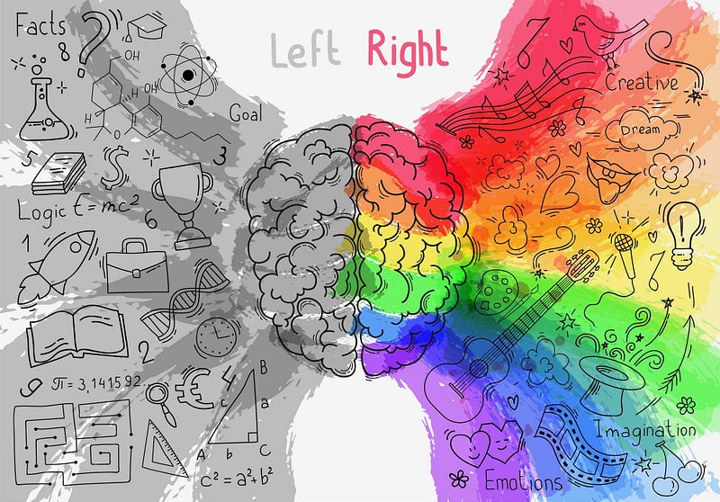 Understanding brain hemispheres and vision dynamics