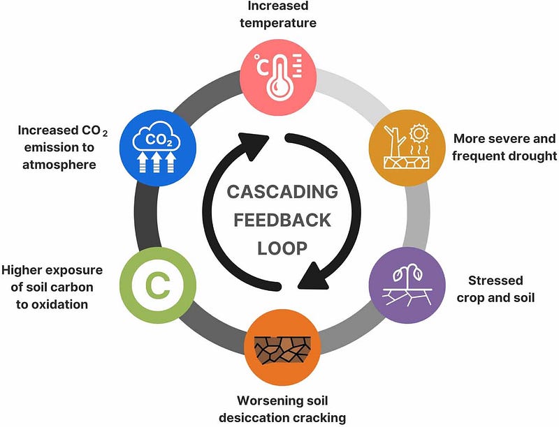 Soil degradation and climate impact