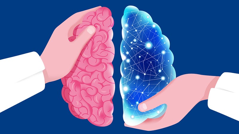 Neural network comparison between brains and ANNs