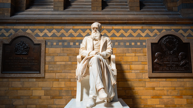 Statue to Charles Darwin from the Natural History Museum of London