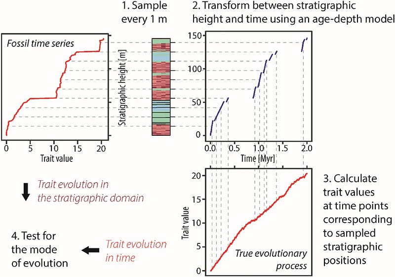 Identification of the mode of evolution in incomplete carbonate successions