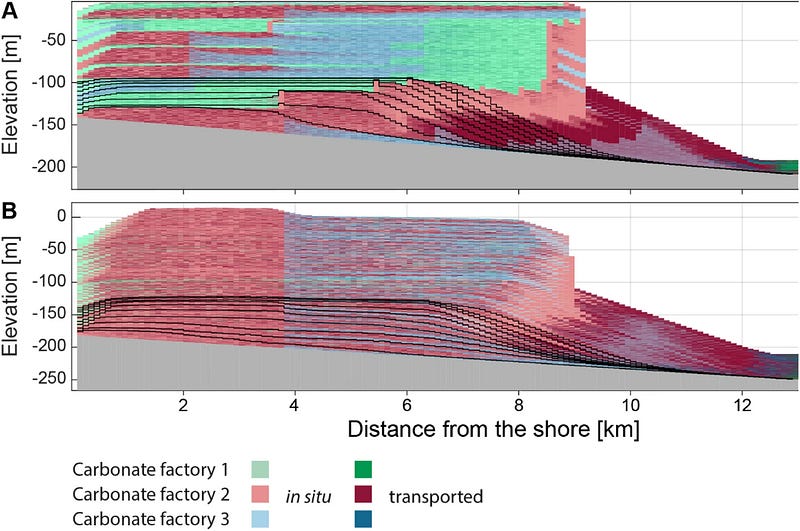 Simulation outcomes of carbonate platforms in stratigraphic domain