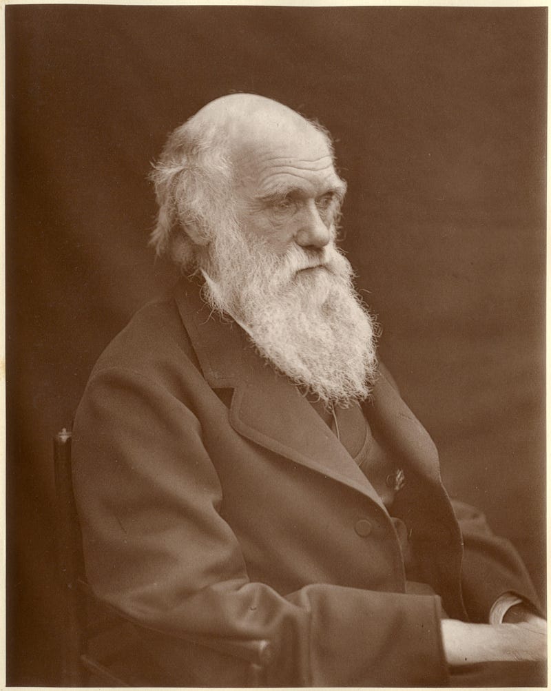 Darwin's declining health by 1878