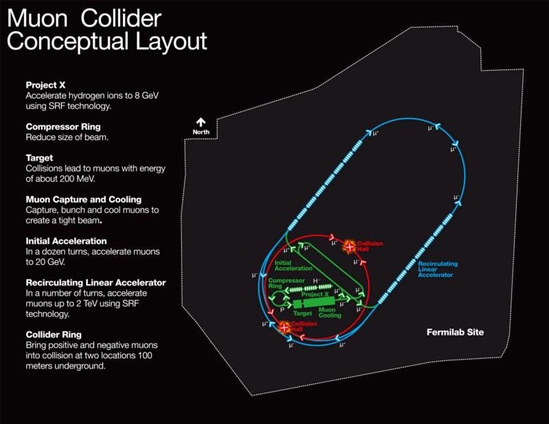 Muon collider design proposal