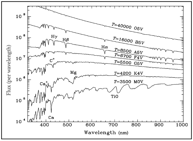 Stellar spectra demonstrating temperature effects.