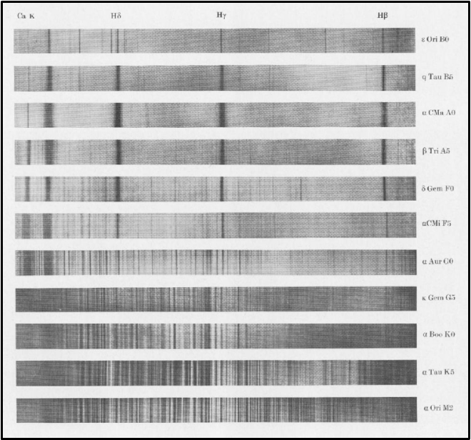 Absorption spectra of eleven stars in the optical region.